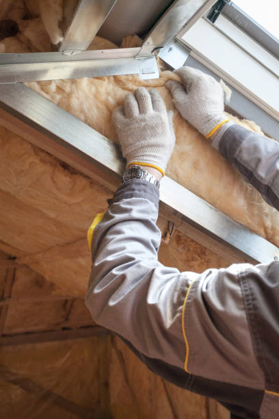 Best Insulation Installation Services in Long Grove, IL